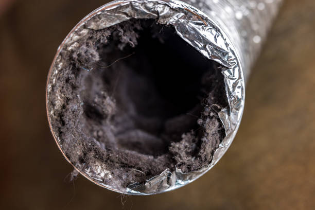 Best Commercial HVAC Duct Cleaning  in Carrizo Springs, TX