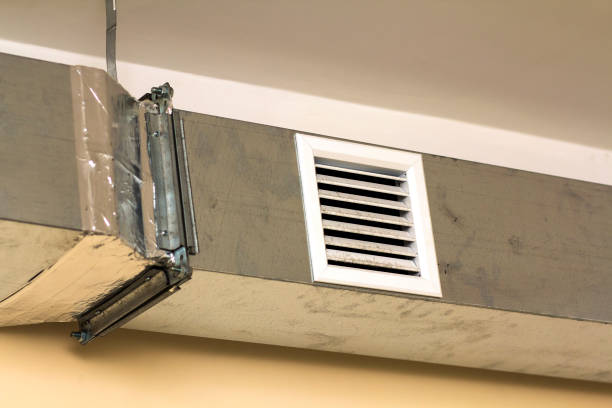 Best Affordable Duct Cleaning Services  in Carrizo Springs, TX